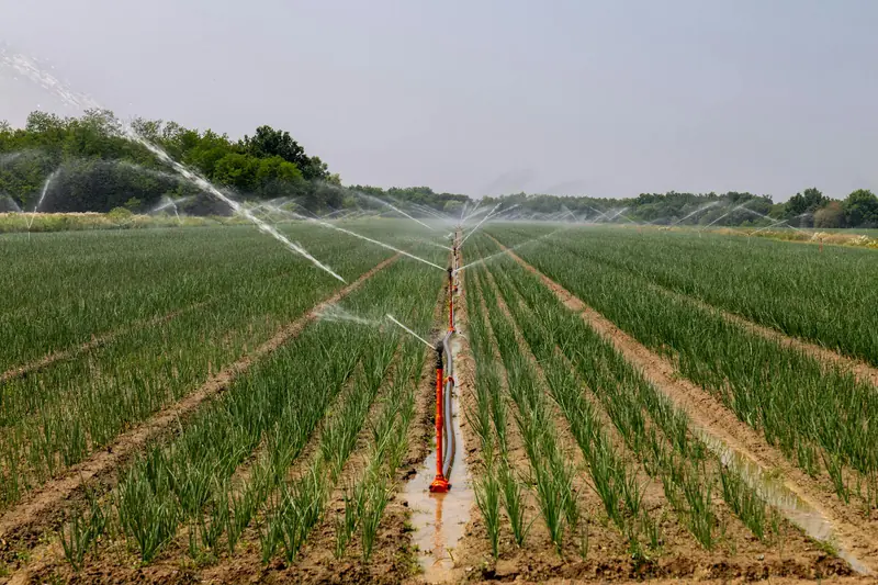 Irrigation Systems Services — MaxRooter licensed plumbers